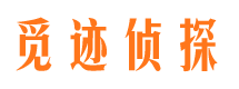 资源市私家侦探